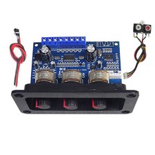 2X Carte Amplificateur Audio
