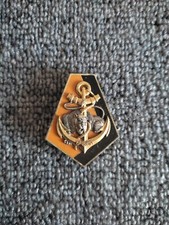 Insigne 6eme BIMA delsart