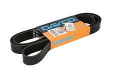 Ceinture multi côtes - côtes, pour