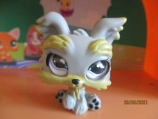 Petshop Chien Yorkshire #509 /