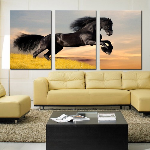 Horse ready hang - ready, to