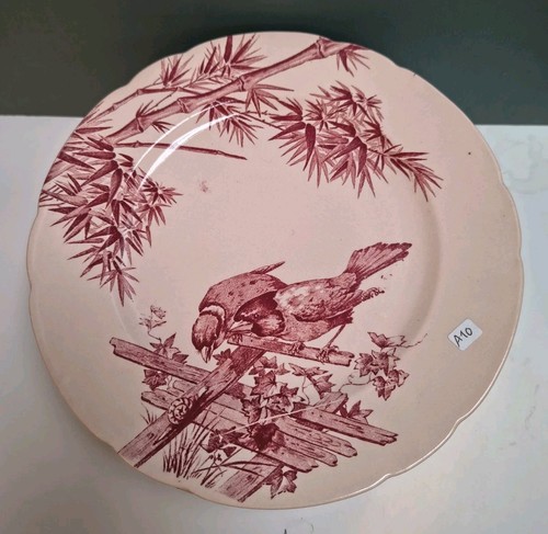 Assiette longwy modèle - assiette,