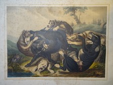 GRAVURE COULEUR PAYSAGE CHASSE