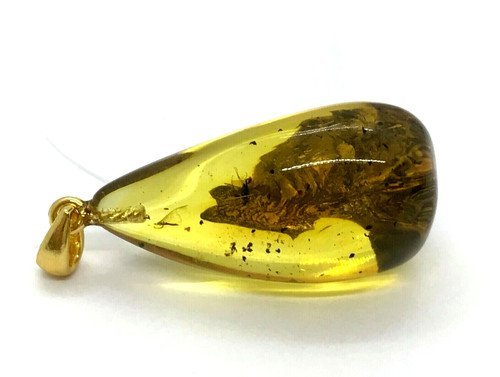 Pendentif ambre avec cadeau - avec,