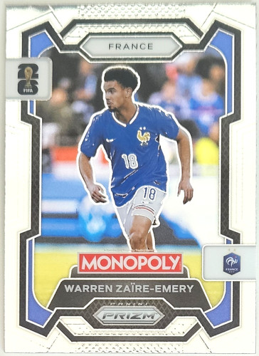Warren zaire emery - warren, panini