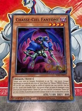 Carte YU GI OH CHASSE-CIEL
