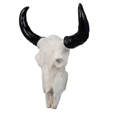 Crâne De Vache Western