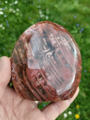 Bois fossile forme libre - bois,