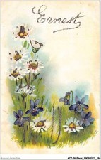 AITP6-FLEUR-0607 - ernest - marguerite - bleuet