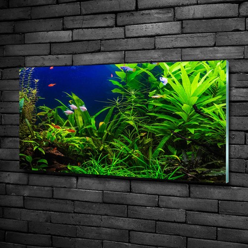 Tulup image sur verre trempé - sur,