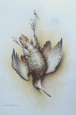 J C Chabellard dessin