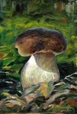 Champignon cèpe de Bordeaux