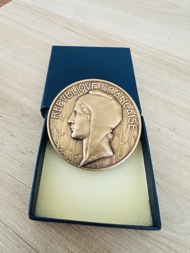 Médaille bronze doré art - médaille,