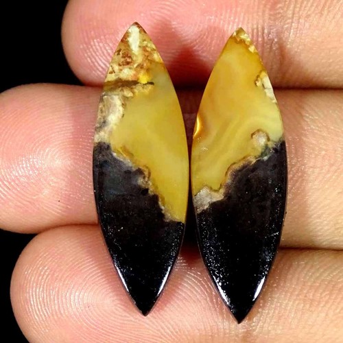 40cts naturel pétrifié - 19.40cts,