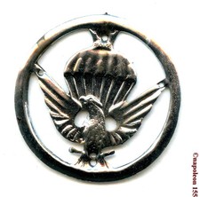 PARACHUTISTE Iran  Insigne beret  Parachutiste en metal embouti a coudre