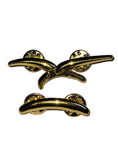 INSIGNE DE CALOT EPERVIER DORE