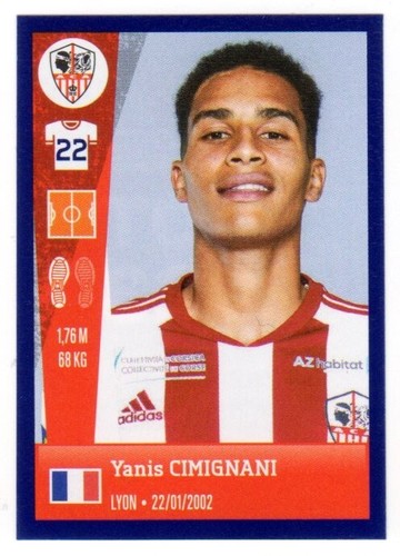 Sticker panini foot 2023 - 2023, ligue