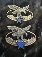 2 insignes Troupe De Montagne