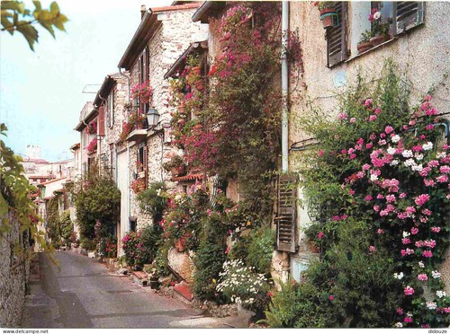 Carte postale antibes - carte,
