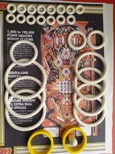 FLIPPER  BALLY -KISS-Kit