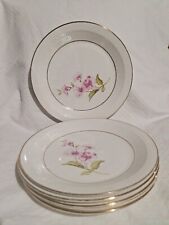 Lot 6 Assiettes Semi-plate