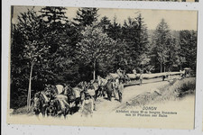 DONON (67) Attelage Tronc arbre de 35 m 10 chevaux vers Gare  carte pas courante