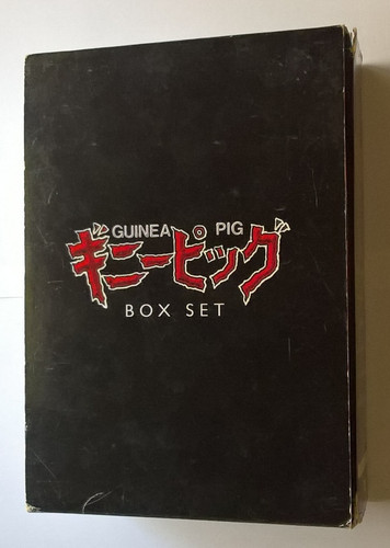 Guinea pig box set - guinea,