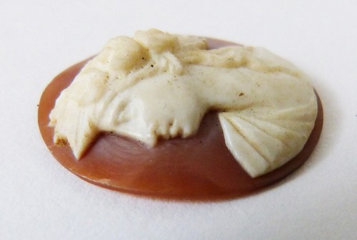 Camée sur coquille 19e - ,