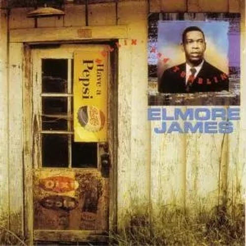 Elmore james the best - cd,