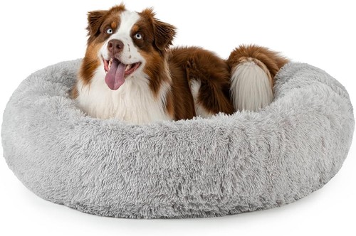 Lionto lit donut - pour, chiens