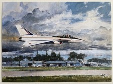 Le Rafale en démonstration