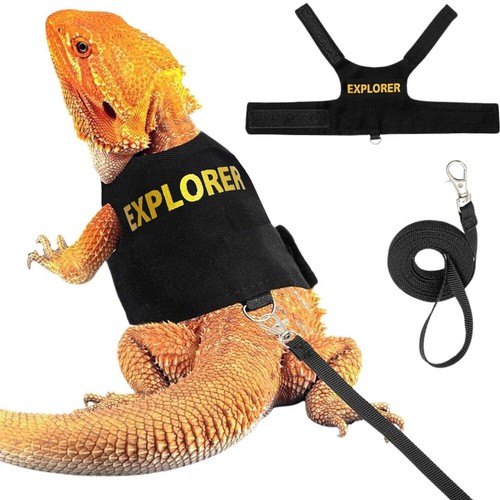 Veste style réglable reptile - style,