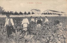 CPA 34 BEZIERS / LA VENDANGE