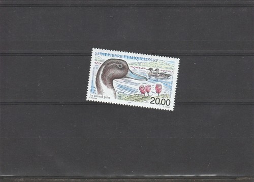 Saint pierre miquelon - saint-pierre-et-miquelon, n°