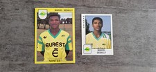 LOT DE  3  IMAGES  PANINI  FOOT  / DIFFERENTES  / DE   MARCEL  DESAILLY / NANTES