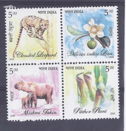 Inde 2005 flore faune pichet - inde,