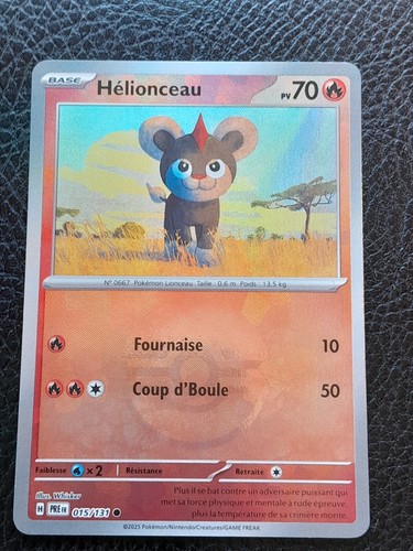 Carte pokemon 015 - carte,