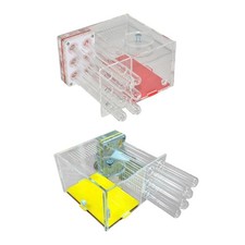 Boîte de présentation pour