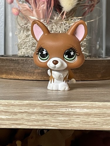 Petshop chien corgi - 💖🌺petshop,