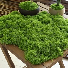 Tapis mousse artificielle vert