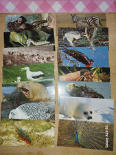 25 Cartes Merveilles du monde