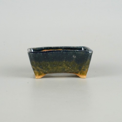 Pot bonsaï japonais yuki - japonais,