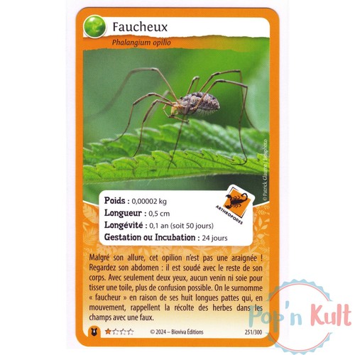 Carte défis nature - défis, protect