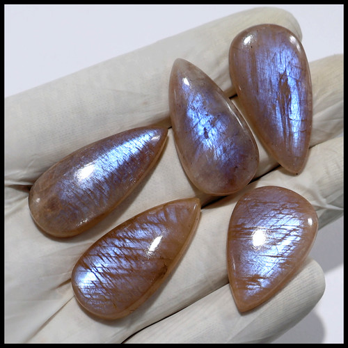 Twilight glow lot de 5 - ~,