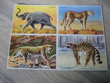 Ancienne planche images