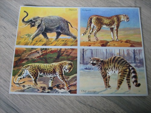 Ancienne planche images