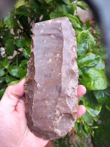 Archéologie préhistoire - archéologie,