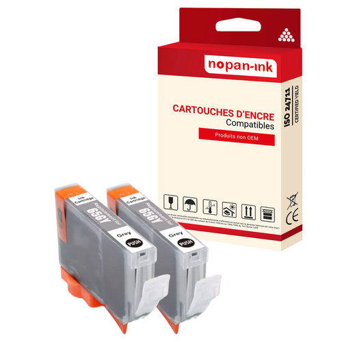 Encre pour canon cli65gy2 - pour,
