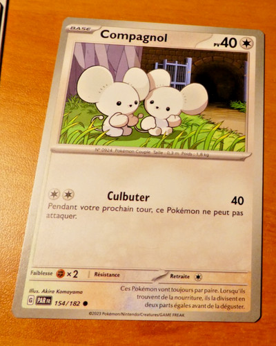 Pokemon faille paradoxe card - pokemon,