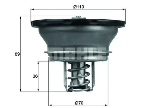 Thermostat thd mahle - thermostat, pour